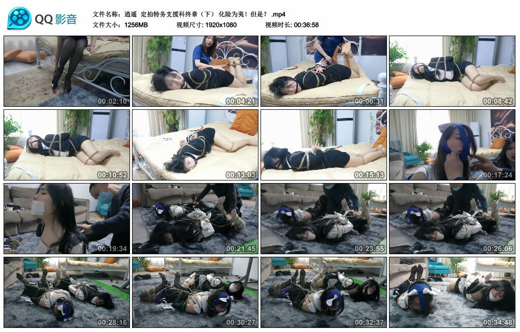 【逍遥】定拍特务支援科终章（下） 化险为夷！但是？_绳缚吧