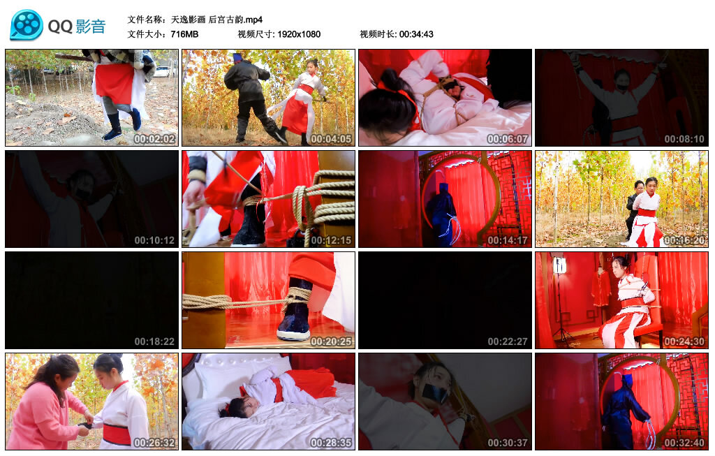 【天逸影画】后宫古韵_绳缚吧
