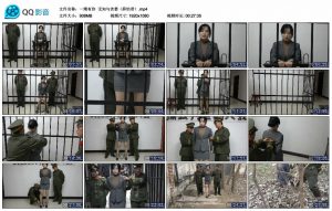 【一绳有你】无知与贪婪（薛怡君）_绳缚吧
