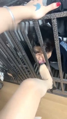 【木子大大】狗笼圈养/舔高跟耳光/犬化/鞭打 bf29018_绳缚吧