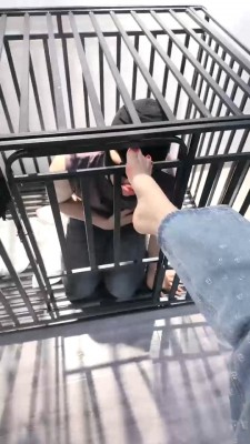 图片[7]_【禾未】封闭圈养第二天-失去人权-犬化训练 bf28798_绳缚吧
