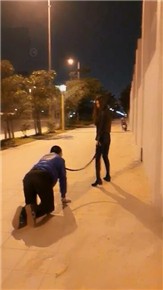 图片[8]_vivi-户外惊险遛狗过马路_绳缚吧