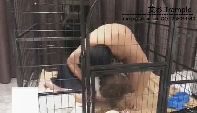图片[6]_ViVi， 狗洞房_绳缚吧