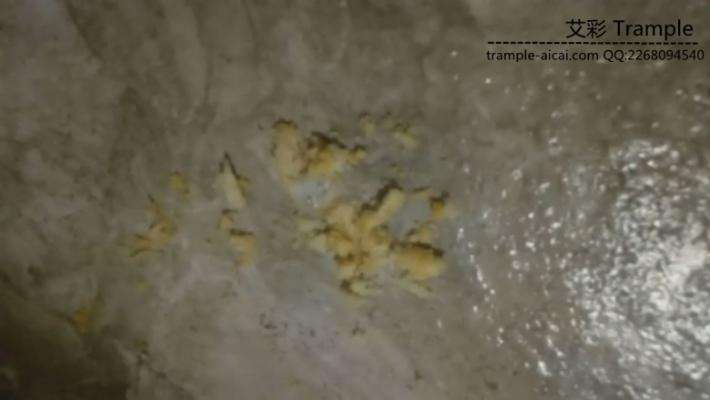 图片[17]_陌陌上认识的足浴店女技师的初次调教_绳缚吧