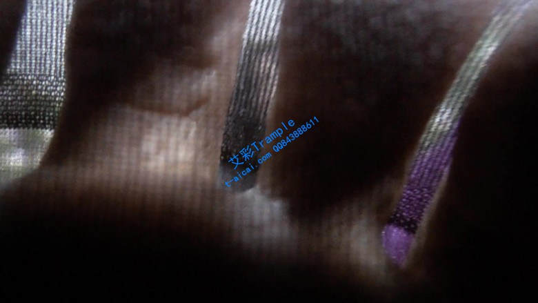 图片[15]_【珊瑚湾】GTS POV 同事变成小虫子_绳缚吧