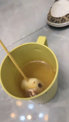 图片[13]_套路直播视频【一一S】开发新模特S-超强刷鞋底强迫吃/脏水压头窒息 bf26353_绳缚吧