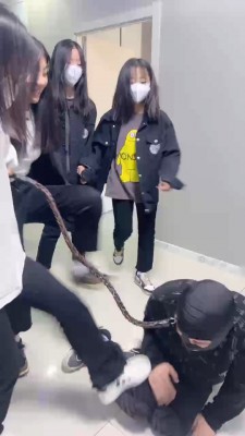 图片[5]_套路直播视频【精神小妹】群调-学生主踢踹/全体重踩踏/转胯喝圣水 bf26612_绳缚吧