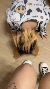 套路直播视频【全国最贱】开发精神小妹做S-人体擦鞋器/全体重踩踏 bf26478_绳缚吧