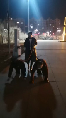 【冷御女王】高贵女王户外溜双狗奴 bf26991_绳缚吧