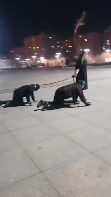 图片[8]_【冷御女王】高贵女王户外溜双狗奴 bf26991_绳缚吧