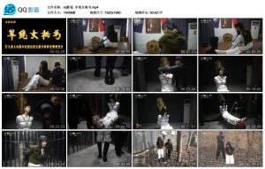 [MJ影视] 军统女秘书_绳缚吧