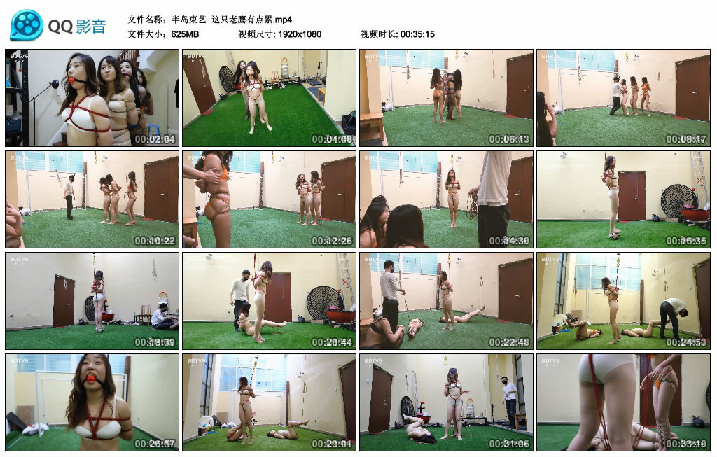 【半岛束艺】这只老鹰有点累_绳缚吧