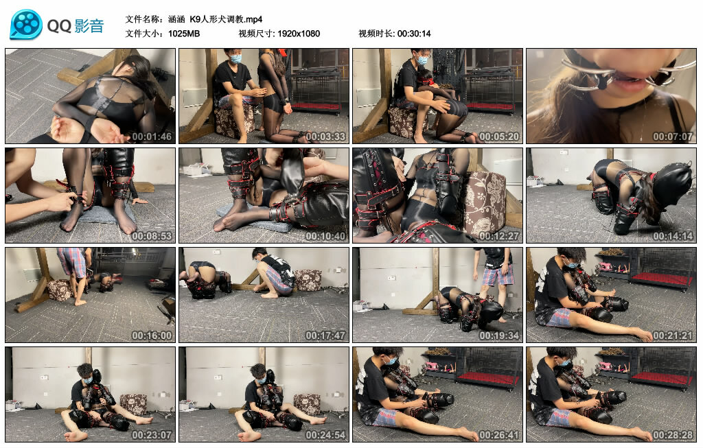 【涵涵】K9人形犬_绳缚吧