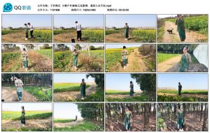 【子衿绳艺】小雅户外旗袍五花紧缚，遇到人也不怕_绳缚吧