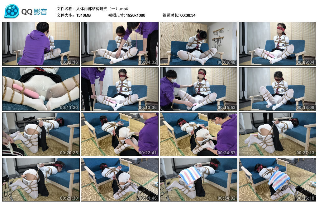 人体内部结构研究（一）_绳缚吧