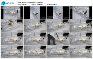 【咕咕精】小草神纳西妲的充气床拘束_绳缚吧