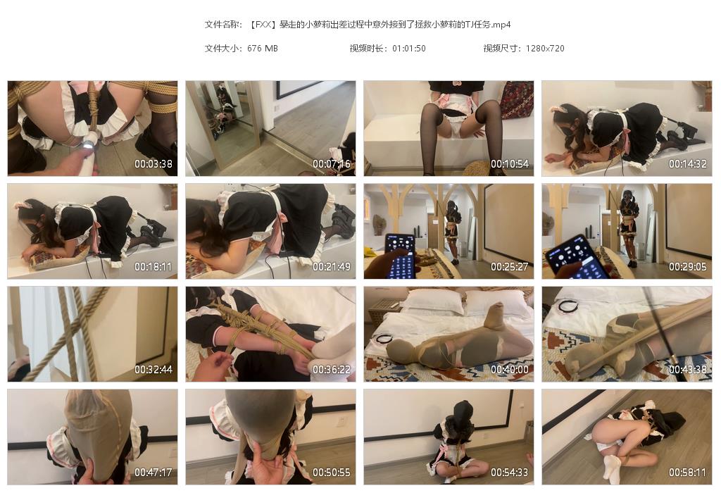 【FXX】暴走的小萝莉出差过程中意外接到了拯救小萝莉的TJ任务_绳缚吧