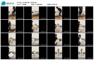 麦子遇到小偷，加访谈_绳缚吧