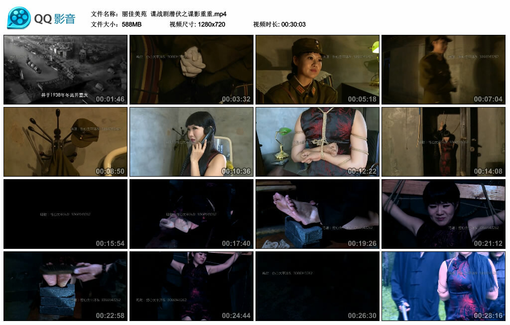 【丽佳美苑】谍战剧潜伏之谍影重重_绳缚吧