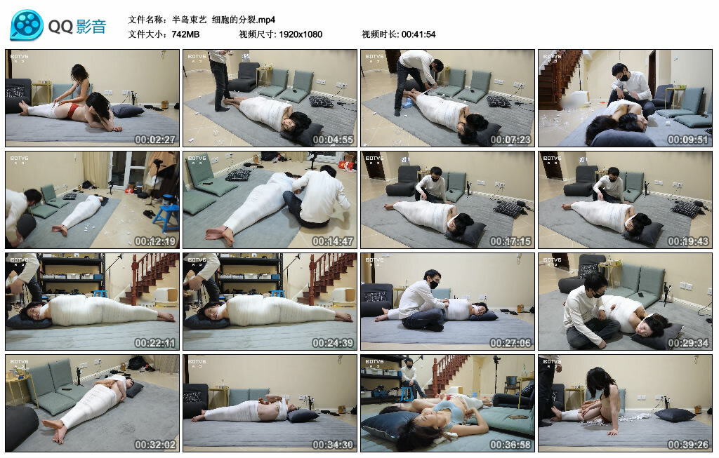 【半岛束艺】细胞的分裂_绳缚吧