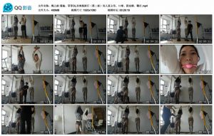 【绳之韵】瑾瑜、菲菲OL双美炼狱行（第二部）双人直立吊、口球、固定棒、鞭打_绳缚吧