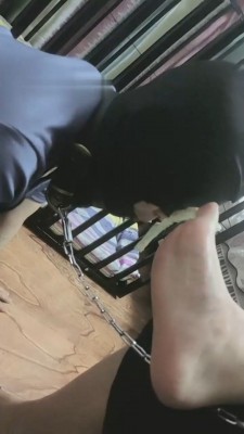 图片[5]_【慕田S】犬化母畜全过程【完整版】_绳缚吧