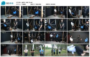 【mj影视】巾帼三英_绳缚吧