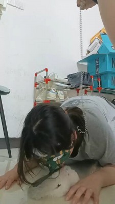 图片[4]_【爱可呀】母畜-胯下辱/舔脏鞋/骑马转胯_绳缚吧
