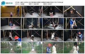 【mj影视】屈妇斩首_绳缚吧