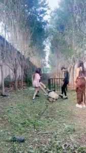 【沅芷大人】4S户外处刑-麻袋套-鞭打/踢踹_绳缚吧