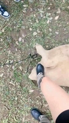 图片[6]_【沅芷大人】4S户外处刑-麻袋套-鞭打/踢踹_绳缚吧