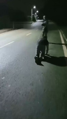 图片[6]_【朱迪】双S户外遛狗散步【双视角版】_绳缚吧
