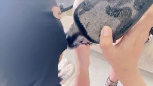 【甜妹女M】女M首次被女主人调教_绳缚吧