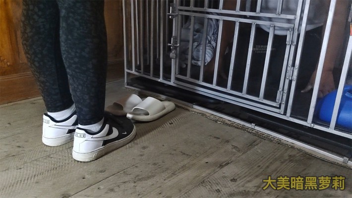 图片[3]_【大美】8分钟不间断语言羞辱强迫喂食圈养狗_绳缚吧