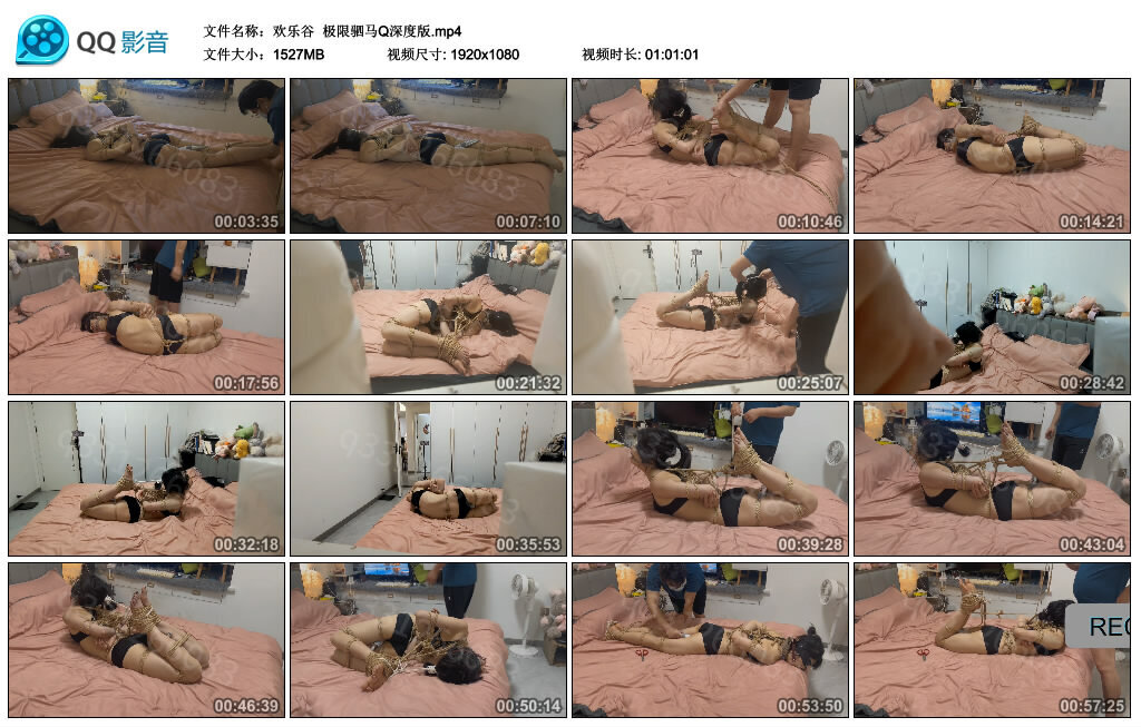 【欢乐谷】极限驷马Q深度版_绳缚吧
