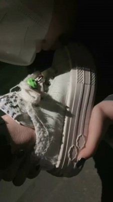 图片[5]_【女仆店S】带素人妹妹户外玩母畜_绳缚吧