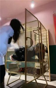 【汐言】SM主题酒店笼中圈养狗奴_绳缚吧