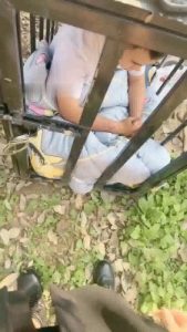 【沅芷大人】圈养家奴晨练【上】_绳缚吧