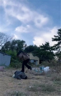 图片[8]_【允薇】庄园清理女主脏泥靴底/鞭打飞踹踩踏_绳缚吧