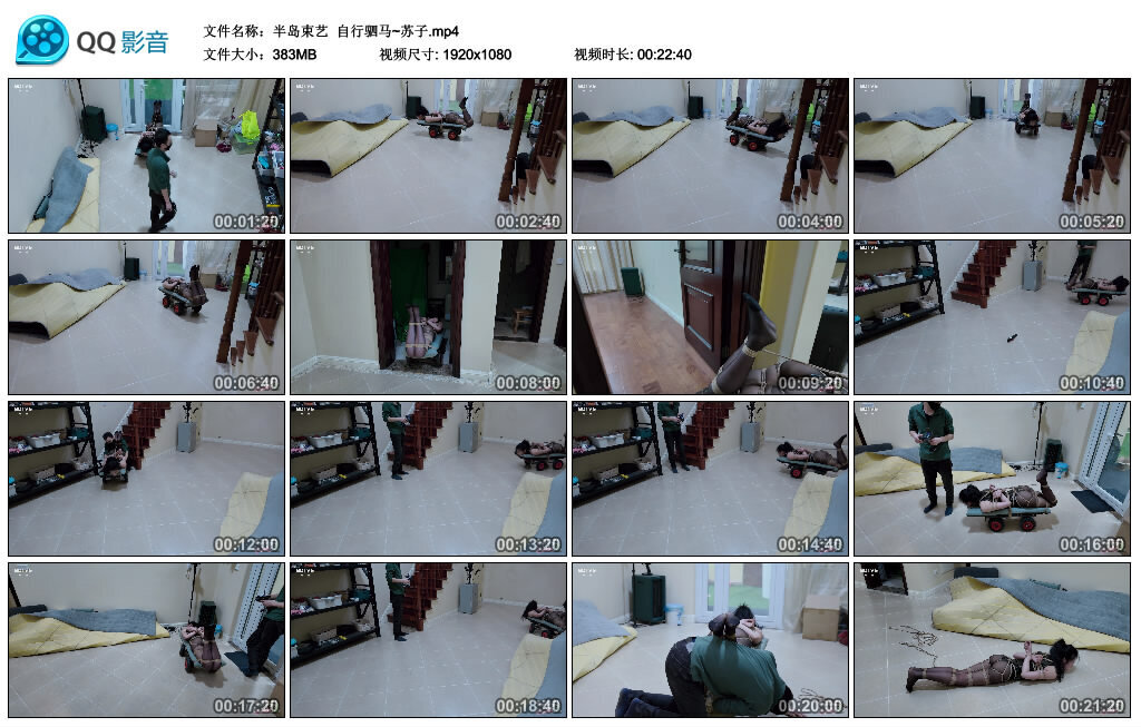 【半岛束艺】自行驷马~苏子_绳缚吧