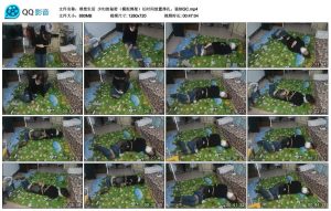 【理想生活】少妇的秘密（模拟绑架）长时间放置挣扎。强制GC_绳缚吧