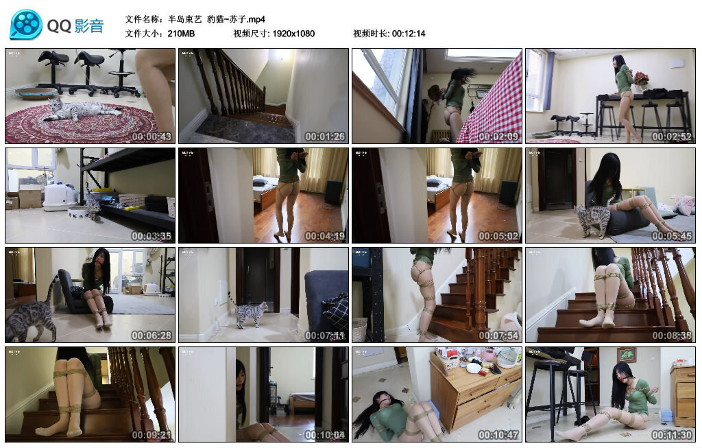 【半岛束艺】豹猫~苏子_绳缚吧