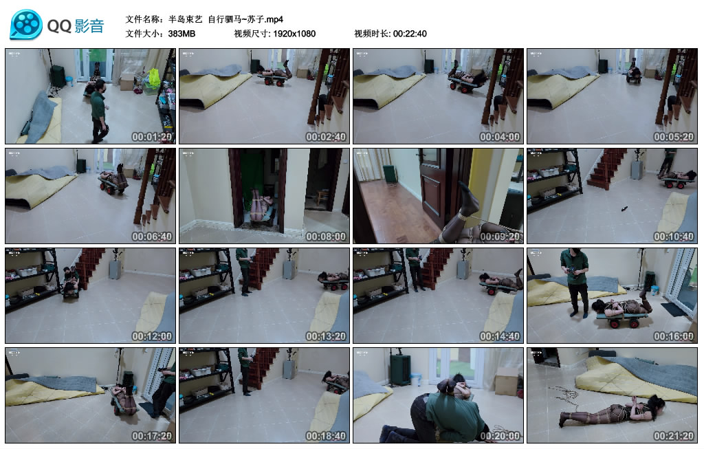 【半岛束艺】 自行驷马~苏子_绳缚吧