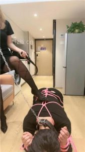【林夕姐姐】把狗捆起来暴揍_绳缚吧