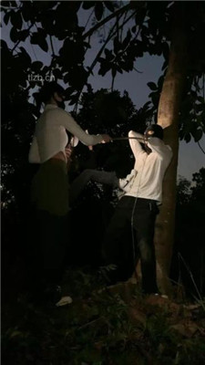 图片[17]_【美学】双S-女神户外遛狗-绑树上酷刑惩治【双视角版】_绳缚吧