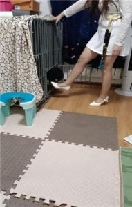 【平凡】圈养狗奴犬化实录_绳缚吧