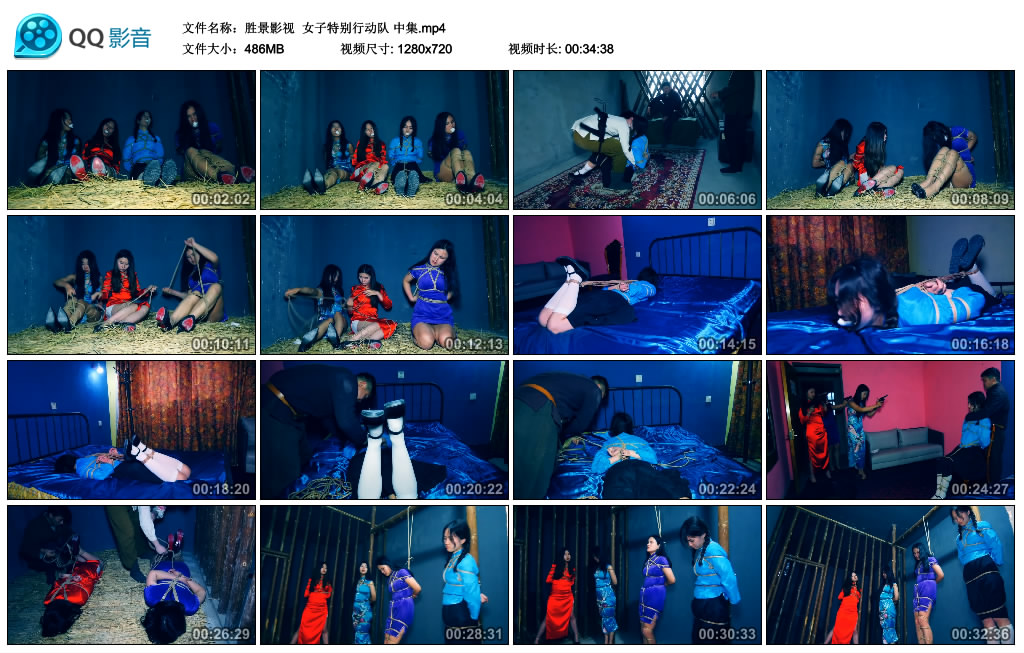 【胜景影视】女子特别行动队中集_绳缚吧