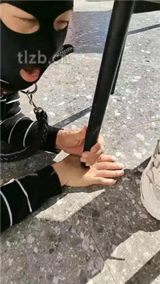 图片[15]-广东迪迪】双S-户外-公开处刑遛狗-绳艺资源网