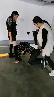 图片[3]-广州迪迪】双S-户外停车场遛狗双视角版】-绳艺资源网