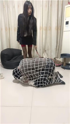 图片[10]-苏西】重刑-把狗装网里重度虐打-绳艺资源网